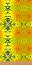 Dandelion wallpaper